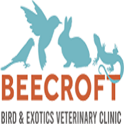 Birdvet Singapore