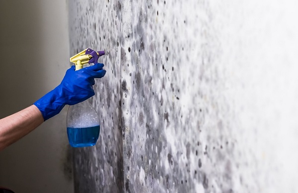 Mold Experts of Philadelphia