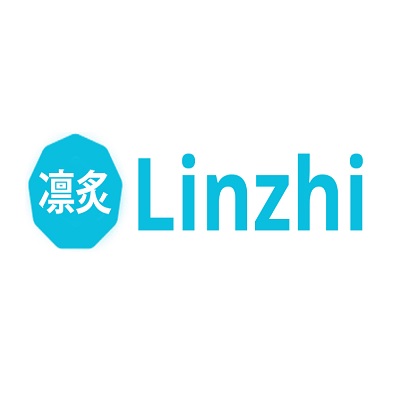 Linzhi LTD