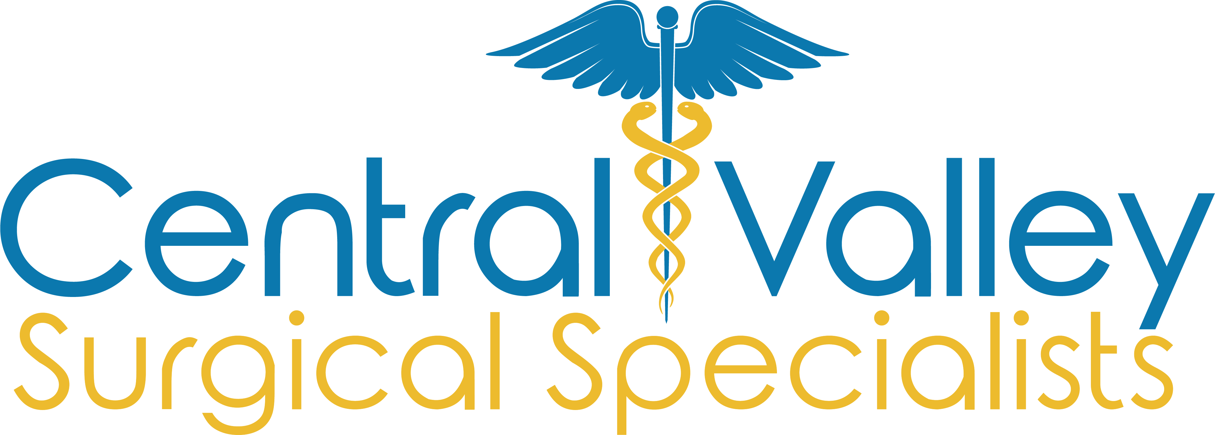 Central Valley Surgical Specialists