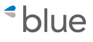 Blue & Co LLC