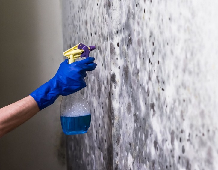 Mold Experts of Cincinnati