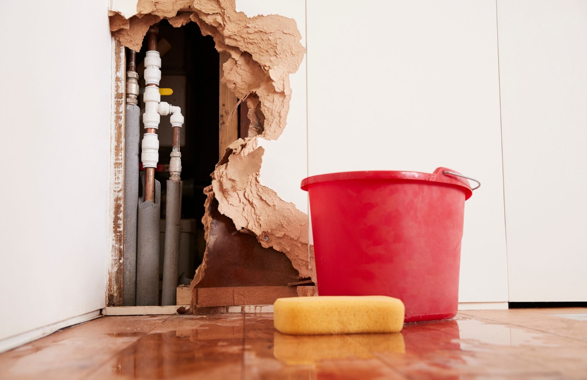 Water Damage Experts of Palmdale