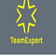 Teamexpert