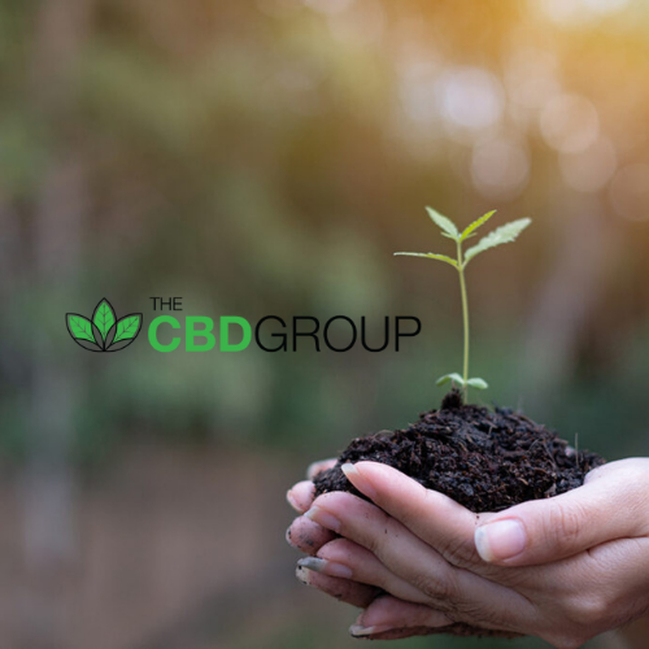 CBD Group 360