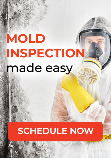 Orlando mold remediation