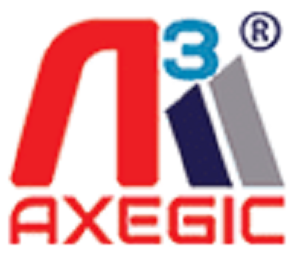 AXEGIC GROUP INC