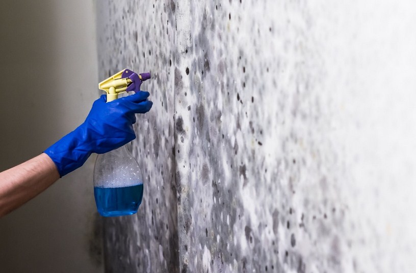 Nashville Mold Removal Pros