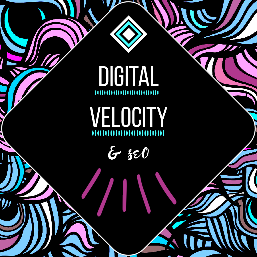 Team Digital Velocity