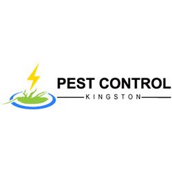 Pest Control Kingston