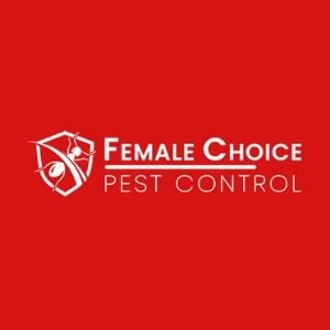 Pest Control In Brisbane