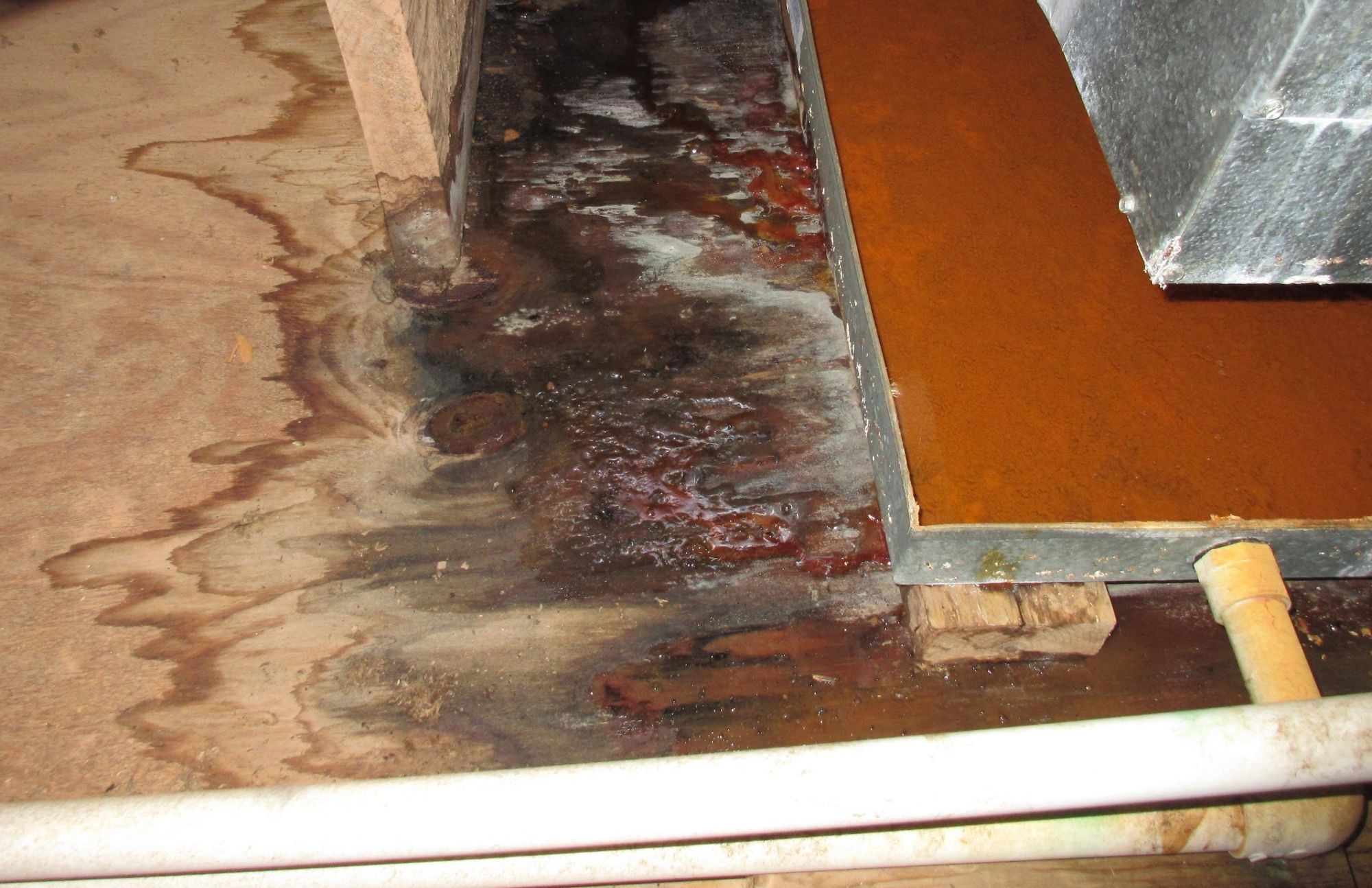 Water Damage Experts of Sandy Springs