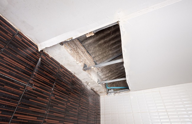 Mold Experts of South Bend