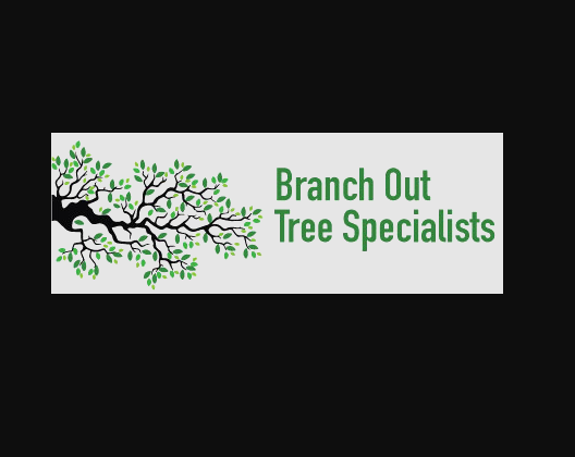 Tree Pruning Sydney