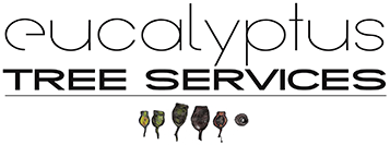 Eucalyptus Tree Services