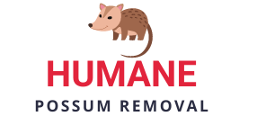 Humane Possum Removal