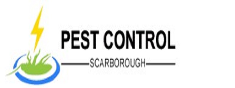 Pest Control Scarborough