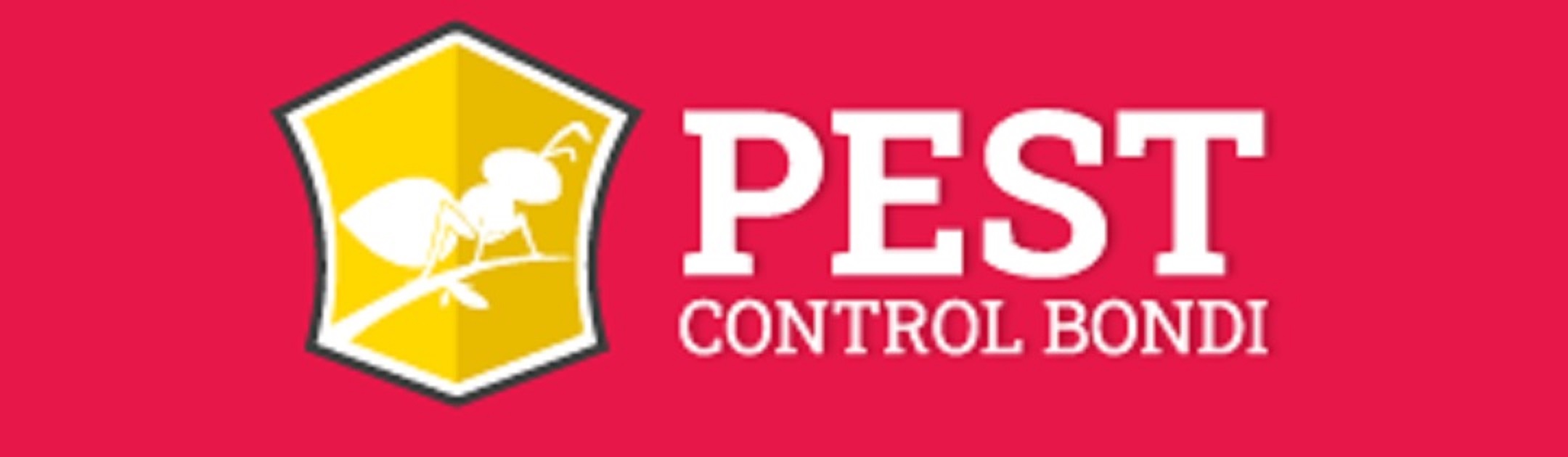 Pest Control Bondi