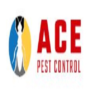 Ace Possum Removal Brisbane