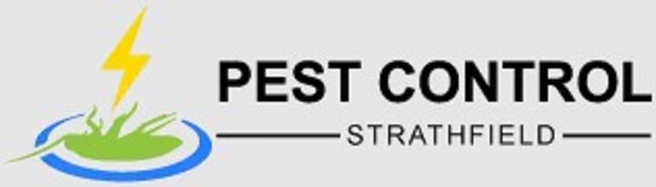 Pest Control Strathfield