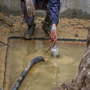 Water Damage Experts of Little Austin