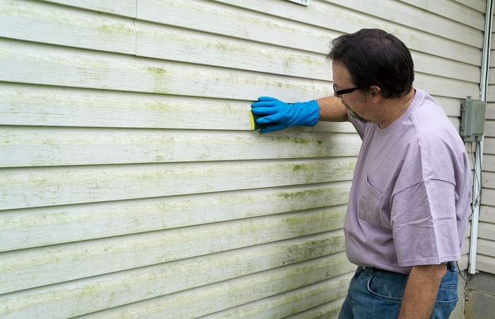 Mold Solutions of Orlando