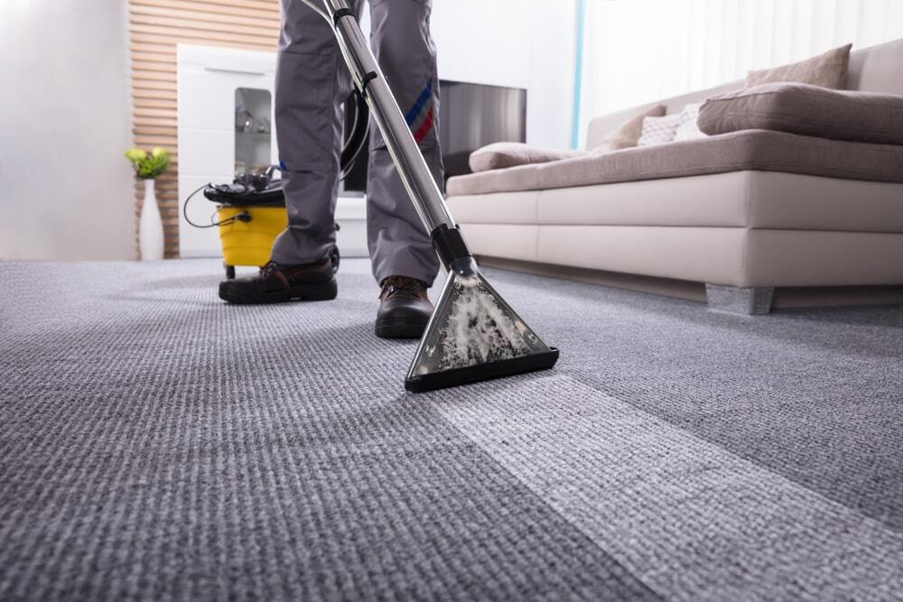 Kangaroo Carpet Cleaning Sydney