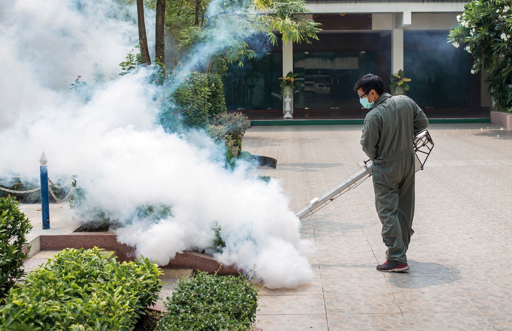 Planters Peanuts Pest Control