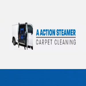 A Action Steamer carpet  cleaning