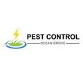 Pest Control Ocean