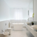 Bathtub Refinishing Orlando