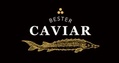 Bester Caviar