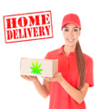 EZ Cannabis Weed Delivery