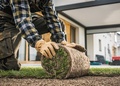 Prime Landscaper Tucson