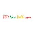 SEO New Delhi