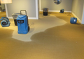 Quality Water Damage Restoration Denton