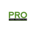 Pro Tree Removal Brisbane