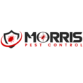 Morris Wasp Removal Melbourne