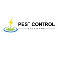 Termite Control Brisbane