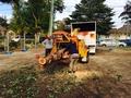 Tree Pruning Parramatta