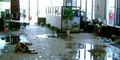 Pros Flood Damage Restoration Sydney