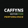 Caffyns Motorstore Performance Sussex