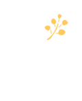 Wattle Treat Clinic