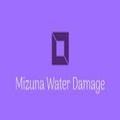 Mizuna Water Damage.