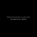 Professor Karamo The Spiritual Healer