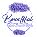 Bountiful Blessings LLC