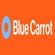 Blue Carrot | Digital Marketing Agency