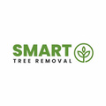 Smart Tree Removal Brisbane