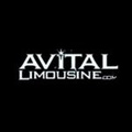 Avital Chicago Limousine And Party Bus