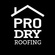 PRO Dry Roofing